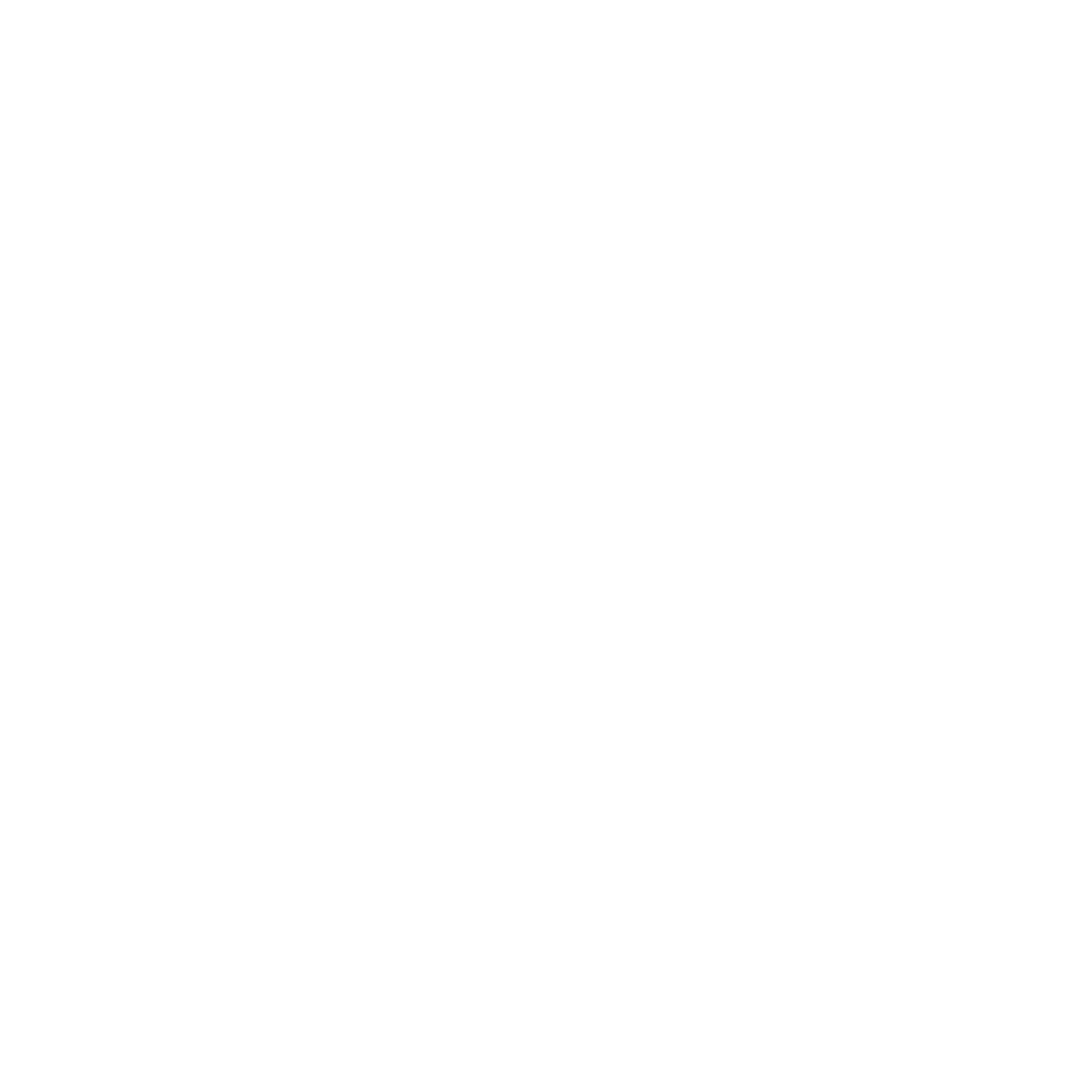 TRAFER Logo